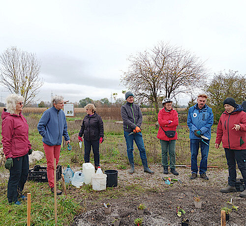 Conservation Gardening-Aktion in Puchheim – VHS, Umweltbeirat und Umweltamt pflanzten „Rote Liste-Arten“ am Wildbienengarten